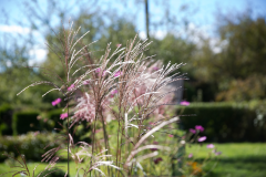 image013