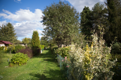image027